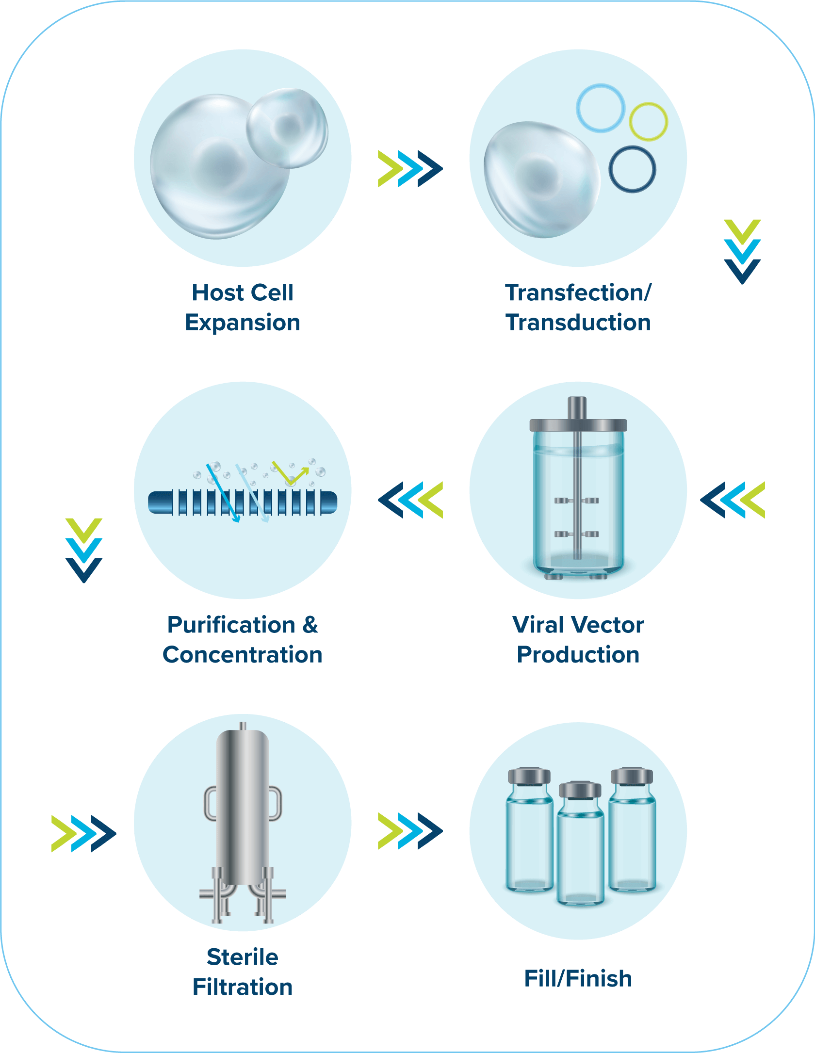 Process Development Service Capabilities